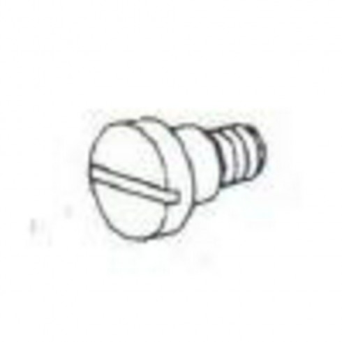 Винт 135S20003 (7WF5-019)