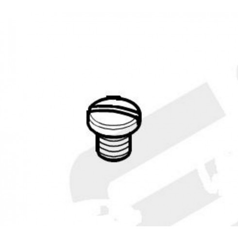 Винт SR-07400631 (original)