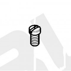 Винт SR-07400538 (original)