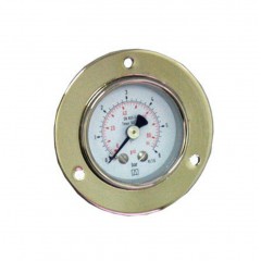 Манометр с диском MV4F 6 бар