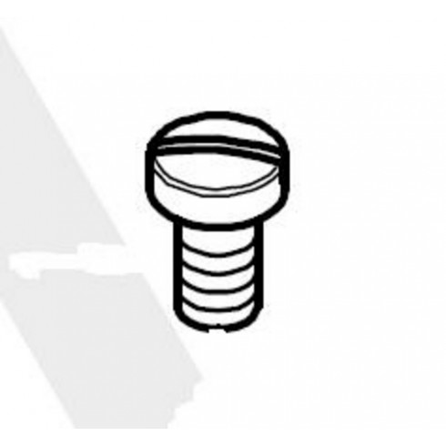 Винт SR-07400302 (original)